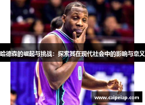 哈德森的崛起与挑战：探索其在现代社会中的影响与意义